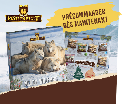 Covetrus | Calendrier de l'Avent Wolfsblut